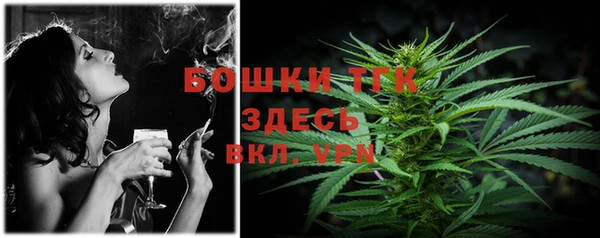 крисы Няндома