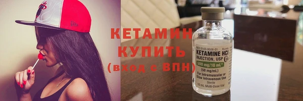крисы Няндома