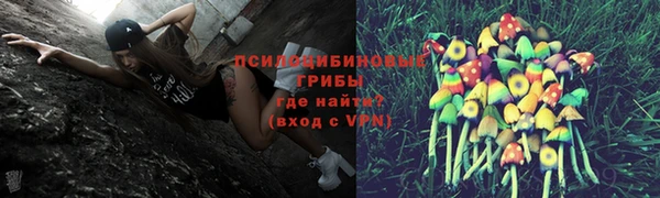 каннабис Губаха